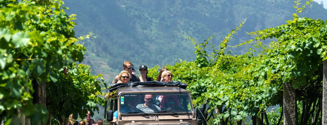 Madeira 4x4 Tour and Wine Tasting Experience