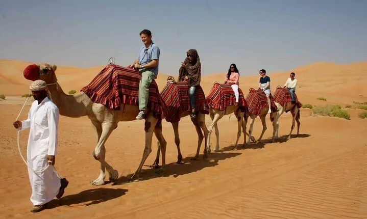 Explore the Desert Horse or Camel Riding - Sharm El Sheikh