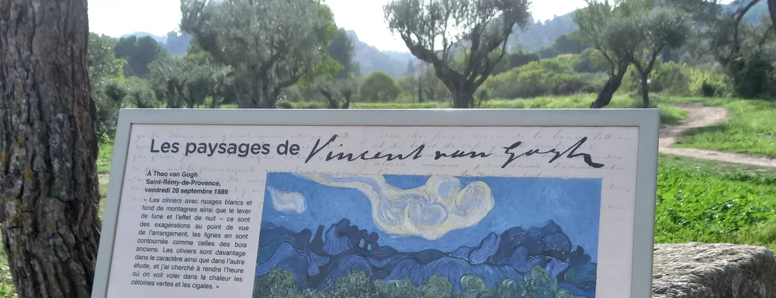 In the Footsteps of Van Gogh in Provence from Avignon