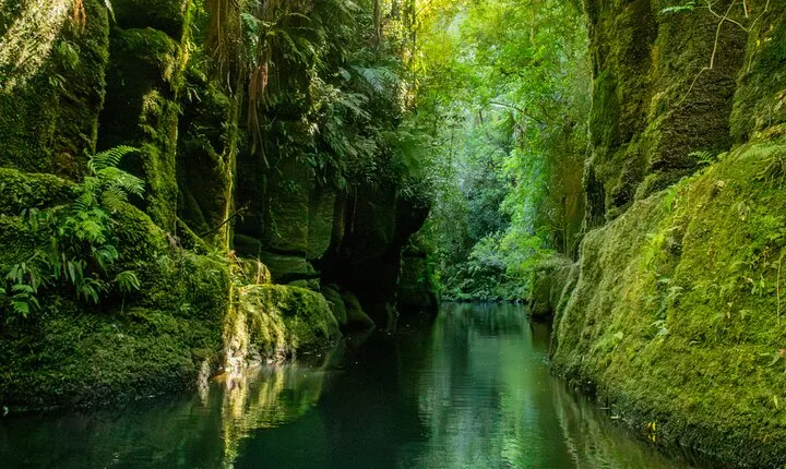 Tauranga Daytime Scenic Lake McLaren Tour