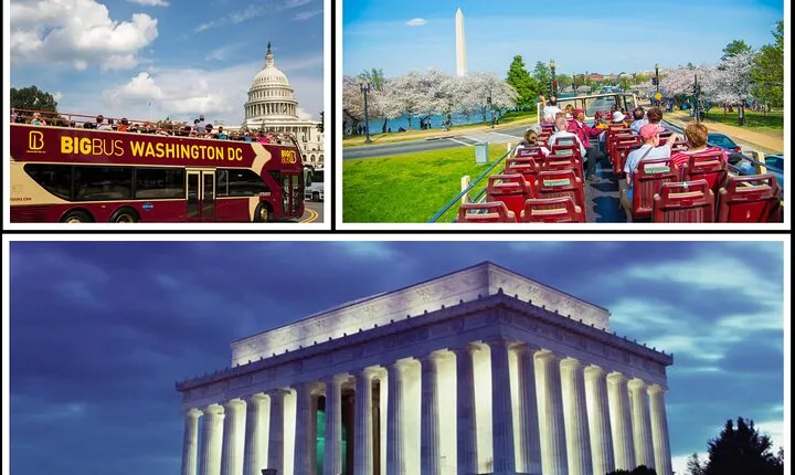 Best of DC: Hop-on Hop-off Tour, Arlington, and 2-Hour Night Tour