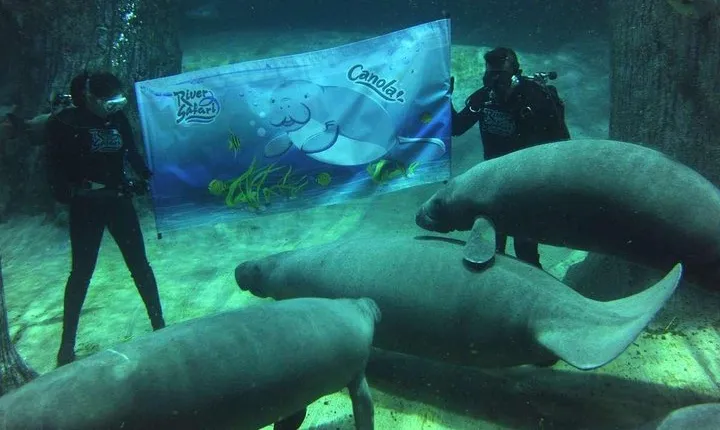 Singapore River & Night Safari-COMBO (Shared Transfer)