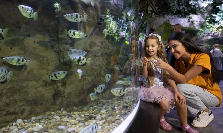 Dubai Aquarium and Underwater Zoo Entrance Ticket