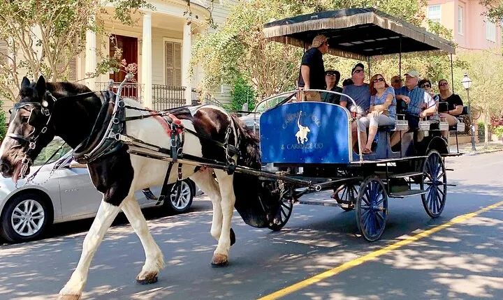 Charleston Horse & Carriage Historic Sightseeing Tour