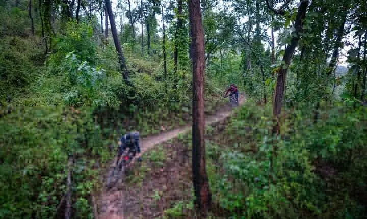 Numb Trail Mountain Biking Tour Chiang Mai