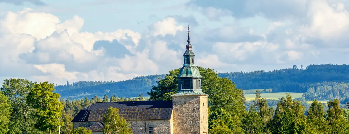 Private Swedish history and countryside tour