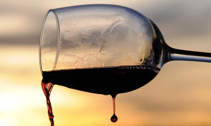 ROME LUXURY TOURS: Private wine tasting session in Vineyards with transportation