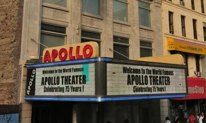 New York City Harlem Walking Tour with a Guide