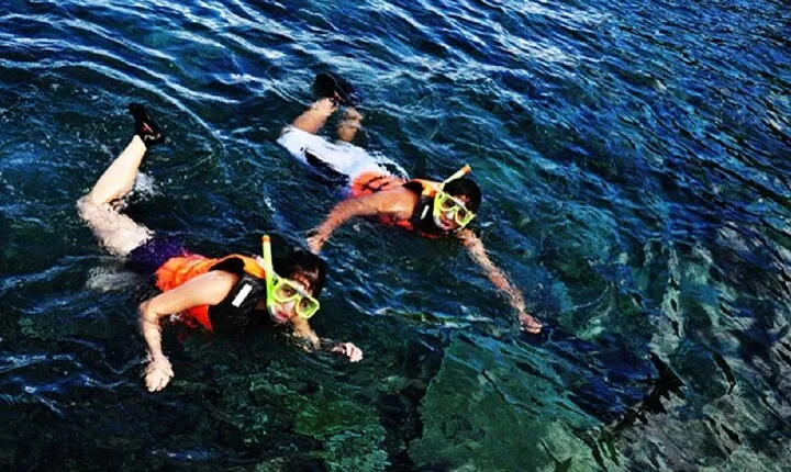 Dumaguete Apo Island Snorkeling Tour