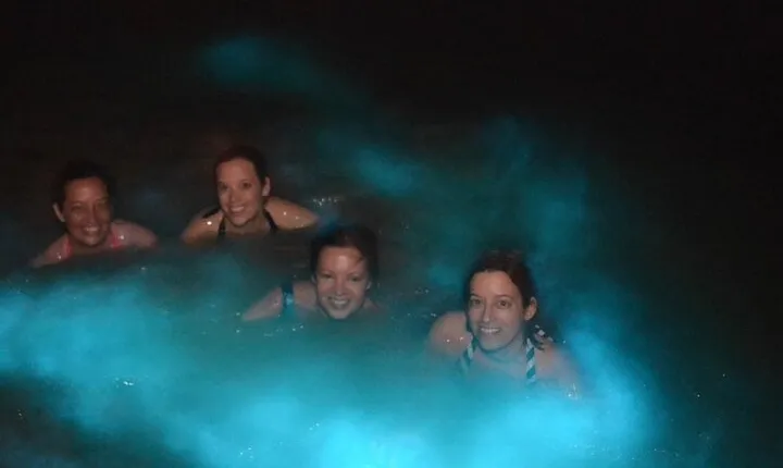 Private Luminous Lagoon Night Cruise from Montego Bay