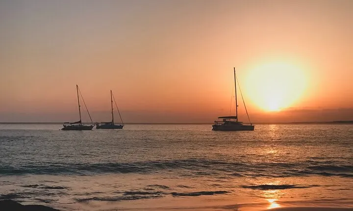 2hrs Dolphins Sunset Sailing Cruise With Drink