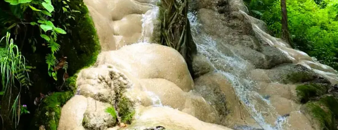 Half-day private tour with driver to Bua Thong Waterfall