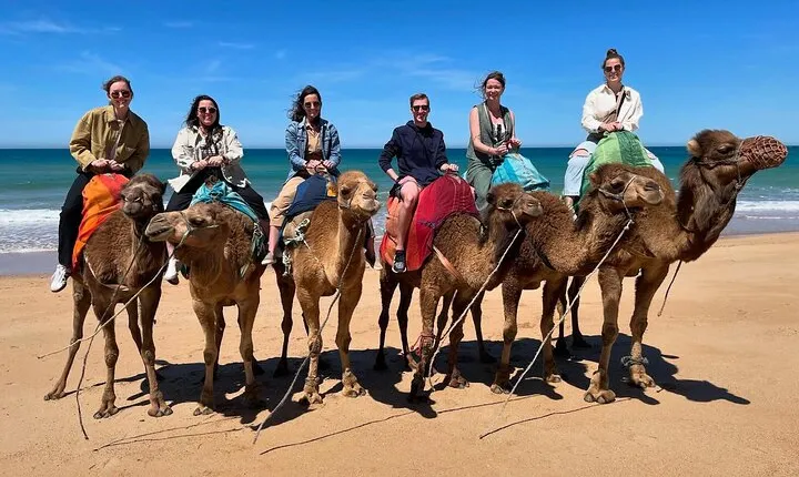 4 hour private Tour of Tangier