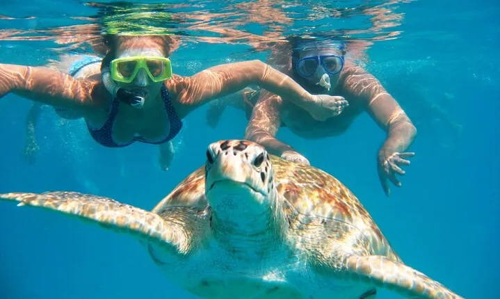 White Island Catamaran and Snorkeling Cruise