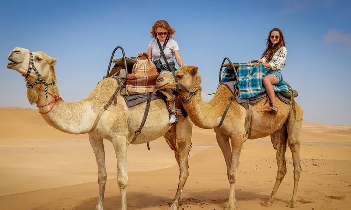 Dubai Red Dune Camel Trekking, Desert Safari and BBQ Dinner 