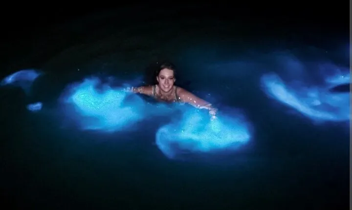 Luminous lagoon Dark night Tour from Ocho Rios and Runaway Bay Hotels