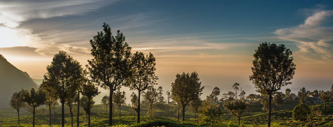 James Tayler's Seat and Loolkadura Tea Estate tour from Kandy