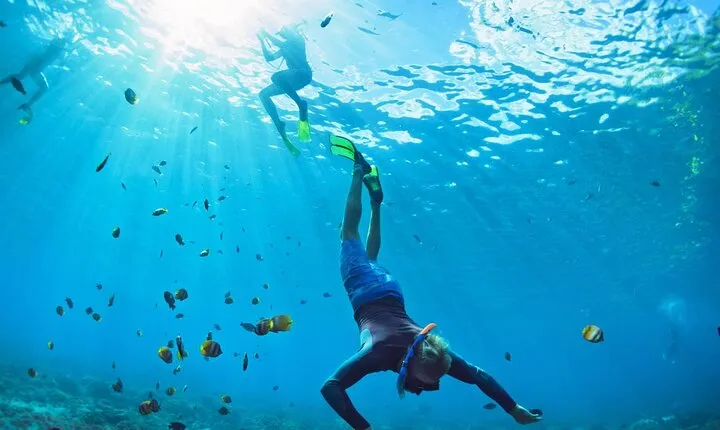 Key West Private Charter: Tailored Snorkeling & Reef Adventure