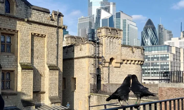 Tower of London and Tower Bridge Private Tour