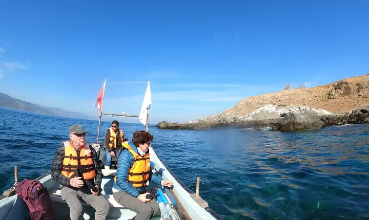 Penguins Watching Navigation Cachagua Island&Lunch From VALPARAIS