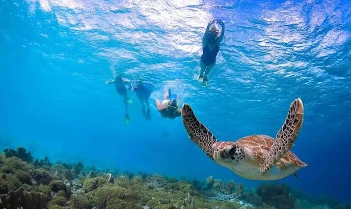 Kauai’s Ultimate Guided Shore Snorkel in South Poipu 