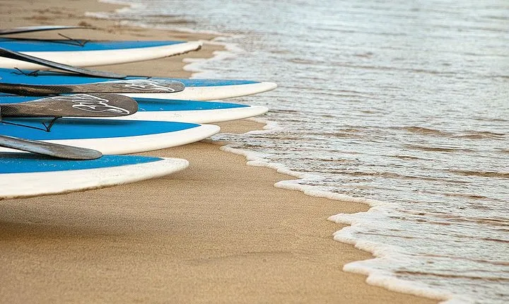 1-Hour SUP Rental in Cabo San Lucas