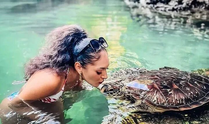 Mnemba Island and Baraka Turtles Aquarium Tour