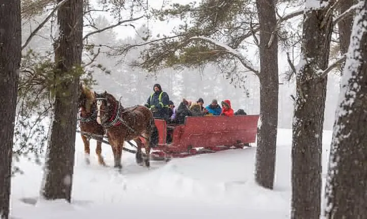 Tremblant Sleighride