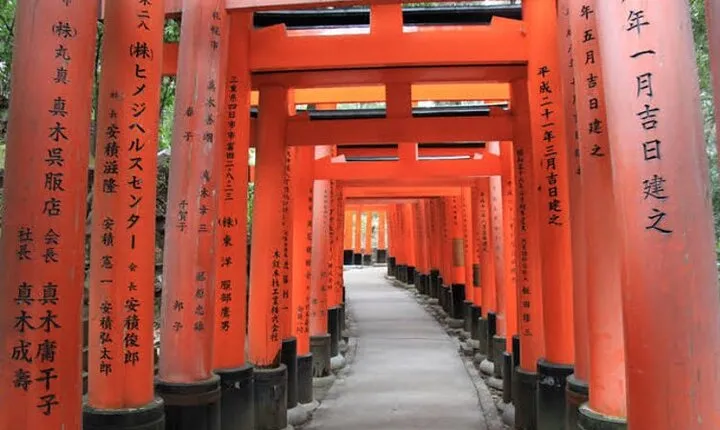 Kyoto Customized Private Tour