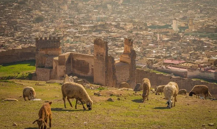 Fes day tour from Casablanca