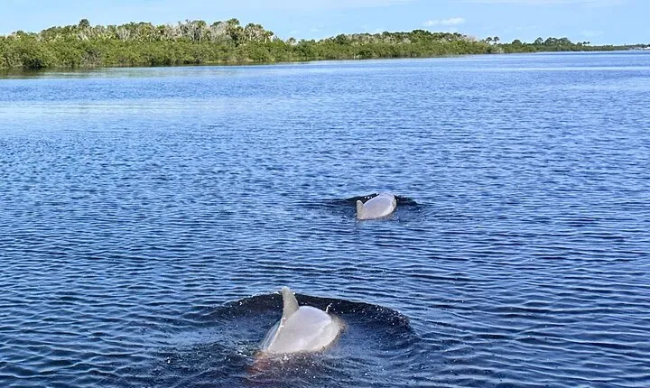 Coastal Discovery Cruise