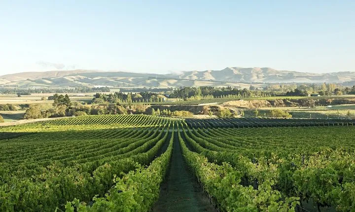 Waipara Wine Experience for 2 or more, inc tastings and lunch