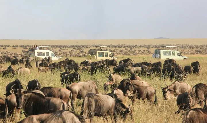 4 Days 3 Nights Lake Manyara Serengeti and Ngorongoro Safari