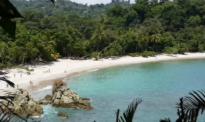 Manuel Antonio National Park Sightseeing and Wildlife Day Tour from San Jose