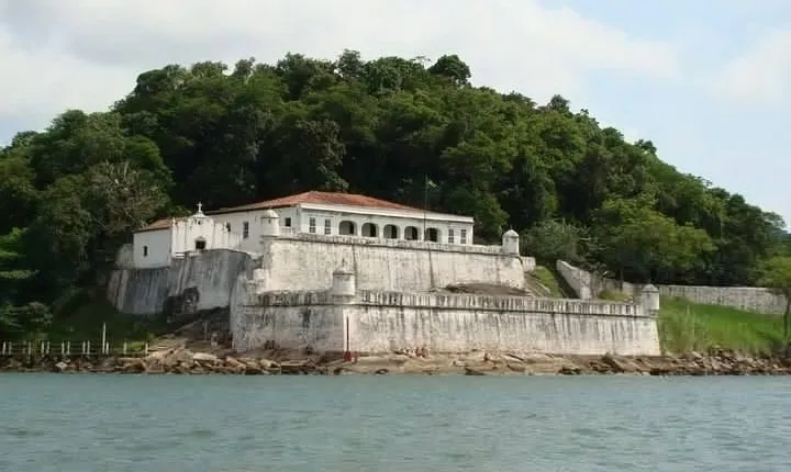 Santos Shore Excursion: Full Day City Tour and GRU Airport Transfer