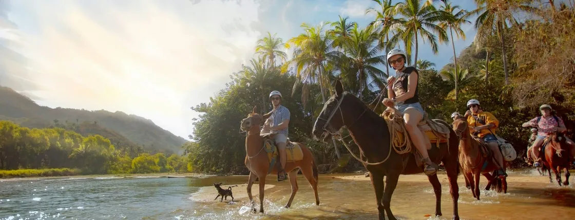 Banderas Bay Sea Safari & Horse Ride Ticket