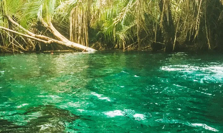 Private Full-Day Materuni Waterfalls and Kikuletwa Hotspring