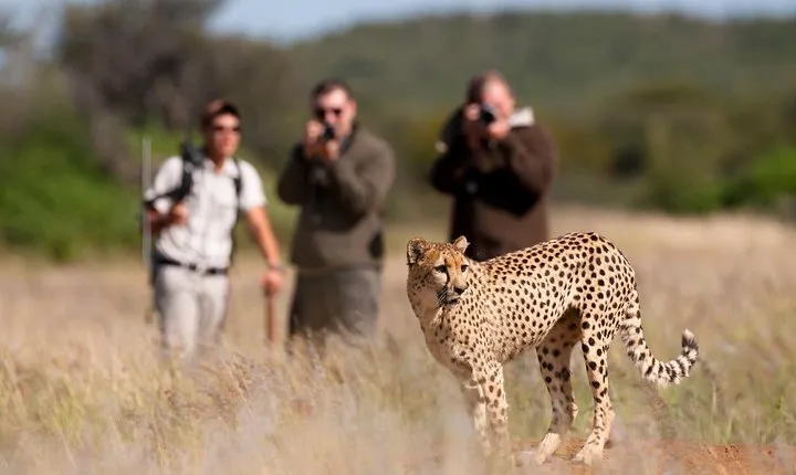 Taste of Namibia Safari - 8 Days