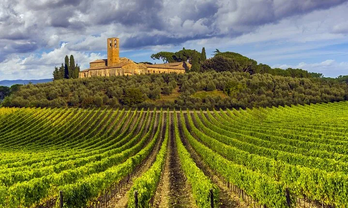 Truffle and Wine Sommelier Vip Experience in Tuscany from Florence