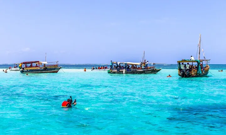 Dolphin Watch & Snorkeling at Kisite Marine Park & Wasini Island