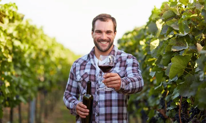 Private Frascati Day Trip With Lunch & Wine Tasting in a Vineyard