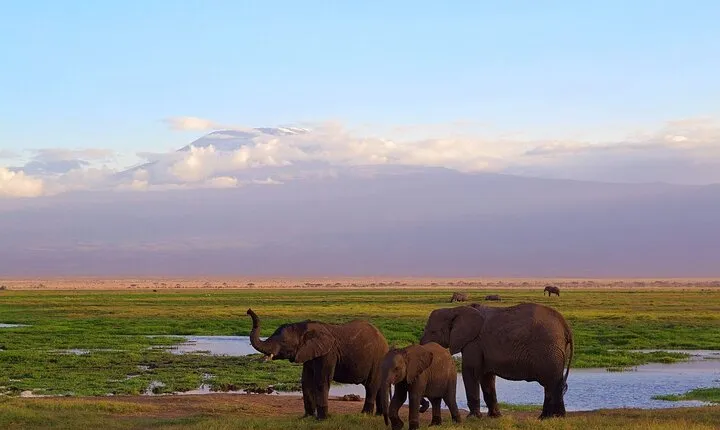 Kenya Safari Adventure 5Days/4Nights (comfort Plus )