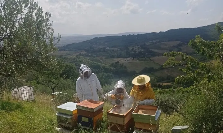 2 hours Beekeeping and Honey Tasting Activities in Assisi