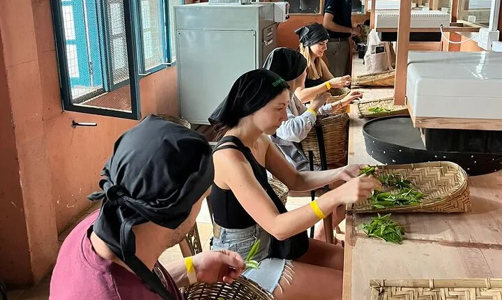 Handmade Tea Tour in Ella Sri Lanka
