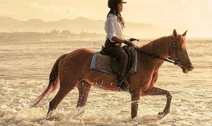Bali Horse Riding, Waterfall, Rice Terrace, Lunch - All Inclusive