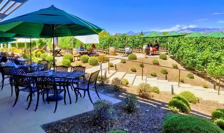 Santa Barbara Wine Tasting Day Tour from Los Angeles