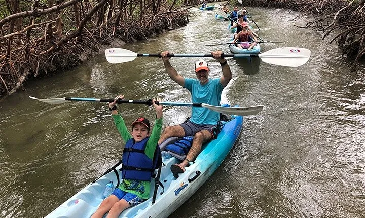Guided Kayak Mangrove Ecotour in Rookery Bay Reserve, Naples