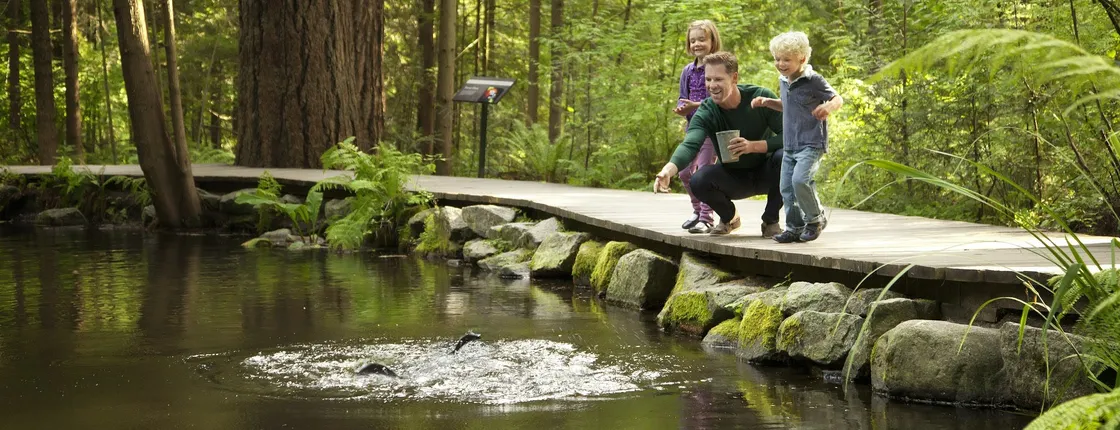 Vancouver City and Capilano Suspension Bridge tour