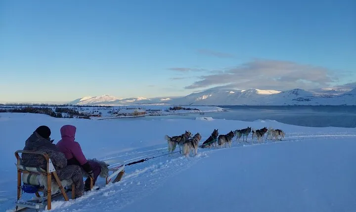 Private Dog Sledding in Akureyri