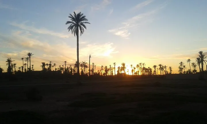 Sunset Camel Ride Marrakech with Transfers 
